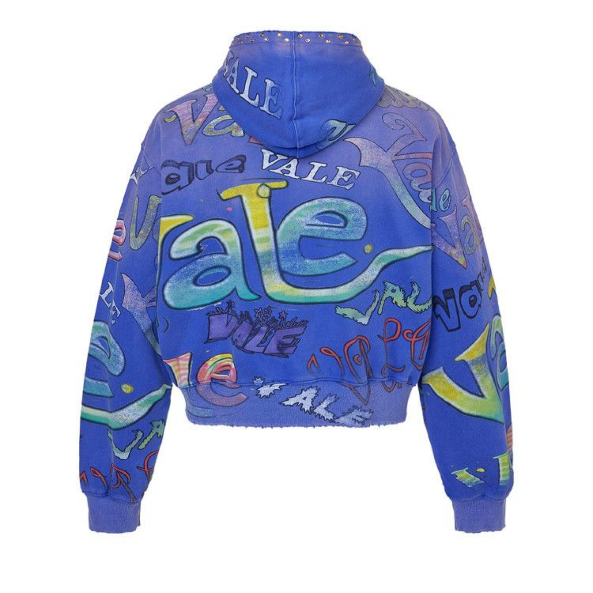 Vale Forever Iceberg Zip Up Blue